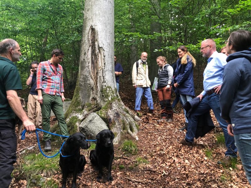 Gruppe besichtigt den Wald