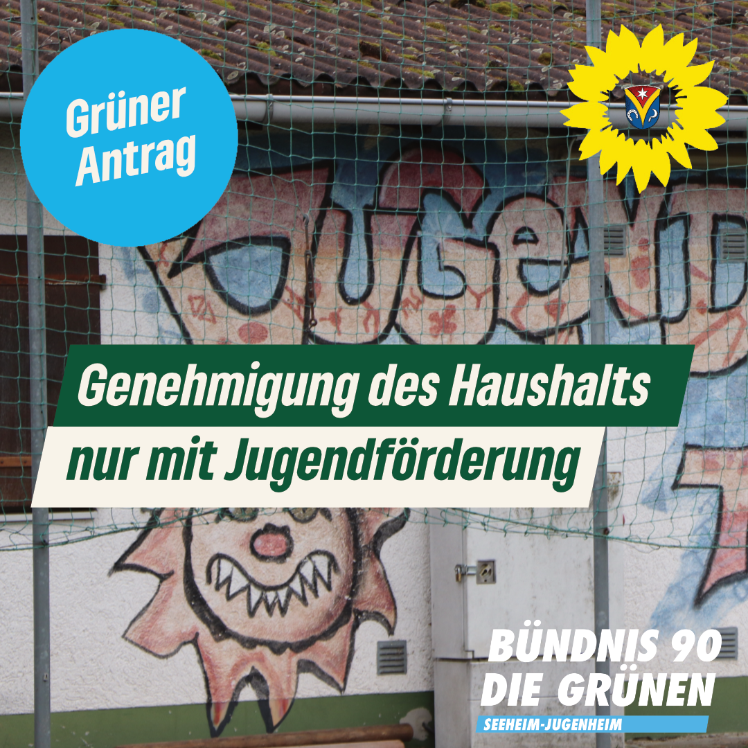 Änderungsantrag zum Haushalt 2025 – Antrag der Fraktion Bündnis 90/DIE GRÜNEN vom 13.03.2025 – Drucksache 303-2/XI