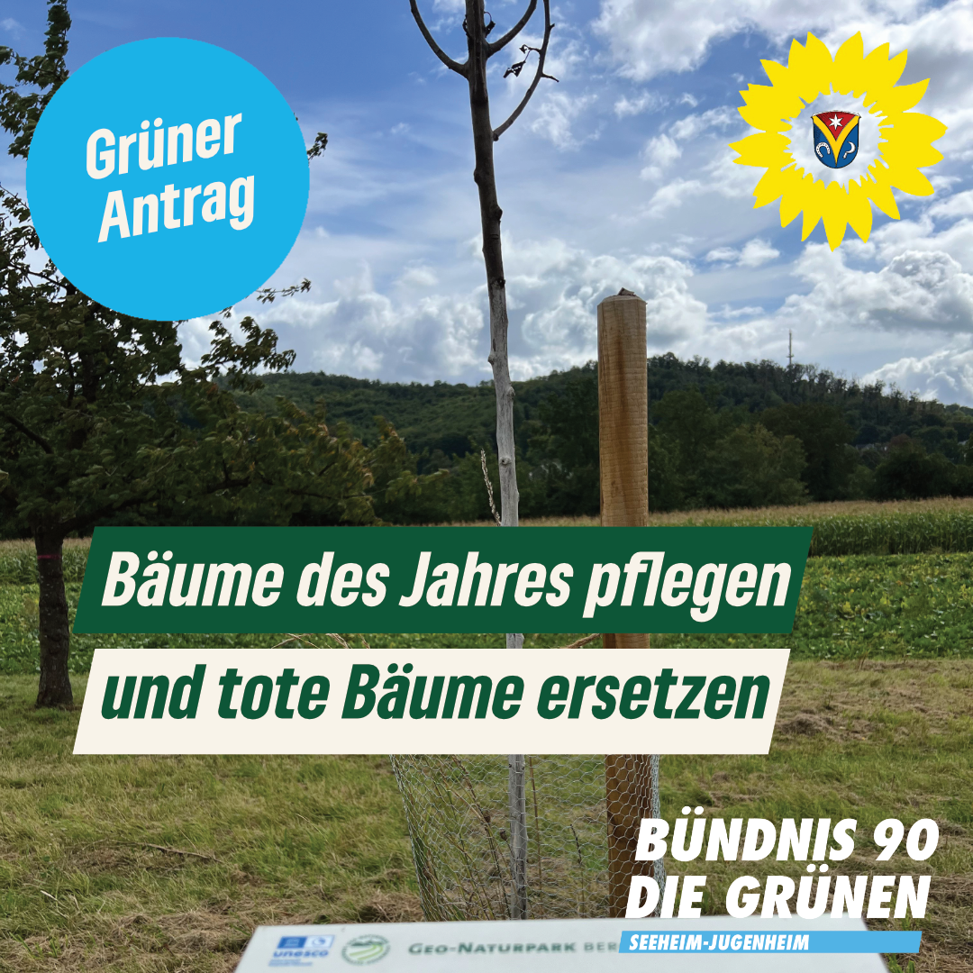 Wiederherstellung und nachhaltige Pflege der Obstbäume des Jahres am Christian-Stock-Stadion und auf der Streuobstwiese In der Tränk – Antrag der Fraktion Bündnis 90/DIE GRÜNEN vom 24.10.2025 – Drucksache 359/XI