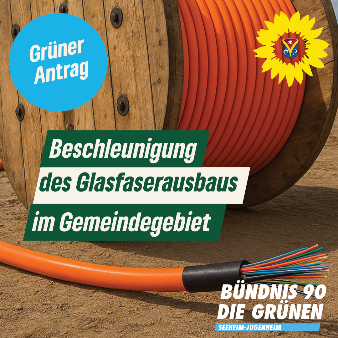 Beschleunigung des Glasfaserausbaus im Gemeindegebiet – Antrag der Fraktion Bündnis 90/DIE GRÜNEN vom 24.10.2025 -Drucksache 360/XI